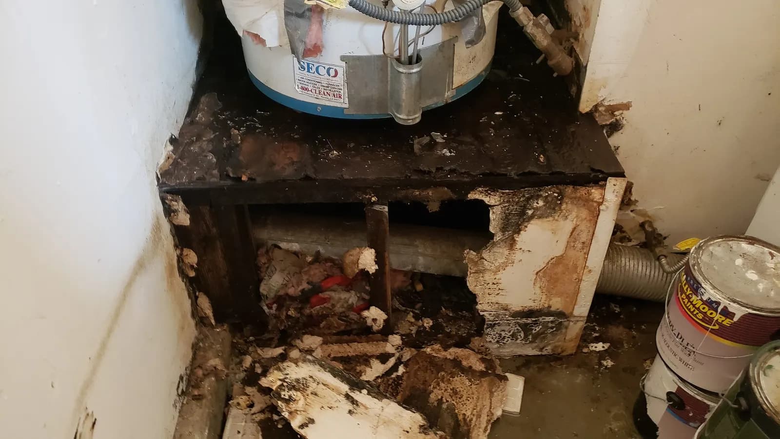 Leaking water heater with a rusted, corroded tank base that needs emergency replacement - 24/7 Emergency Service